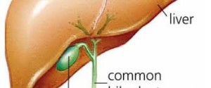 cut bile duct lawsuit