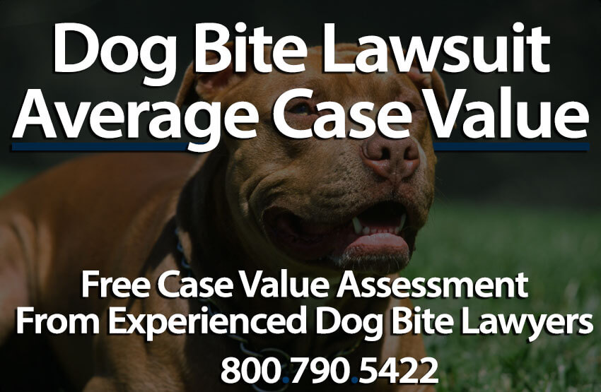 are you liable if your dog bites someone on your property