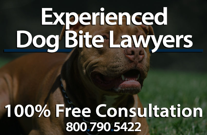 Fresno Dog Bite Lawyer - Tim WMazzela