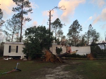 Personal Injury Attorney to Sue Mobile Home for a Tree Falling Injury