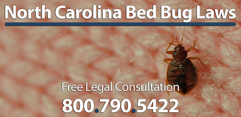 Know The Bed Bug Laws In North Carolina Normandie Law