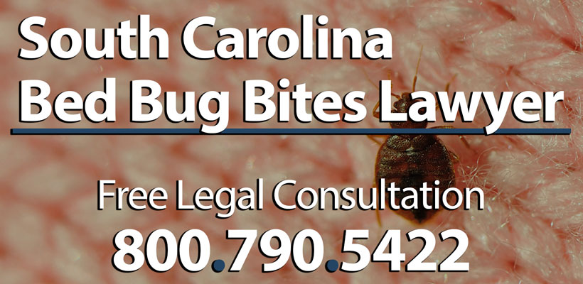 Bed Bug Bites Lawyer South Carolina Normandie Law Firm