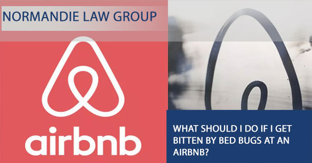 Airbnb bed bugs