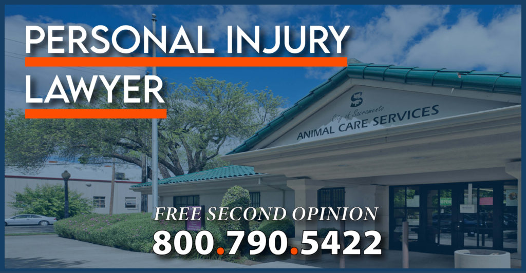 Rescue Shelter Personal Injury Accident Lawyer premise liability attorney compensation sue