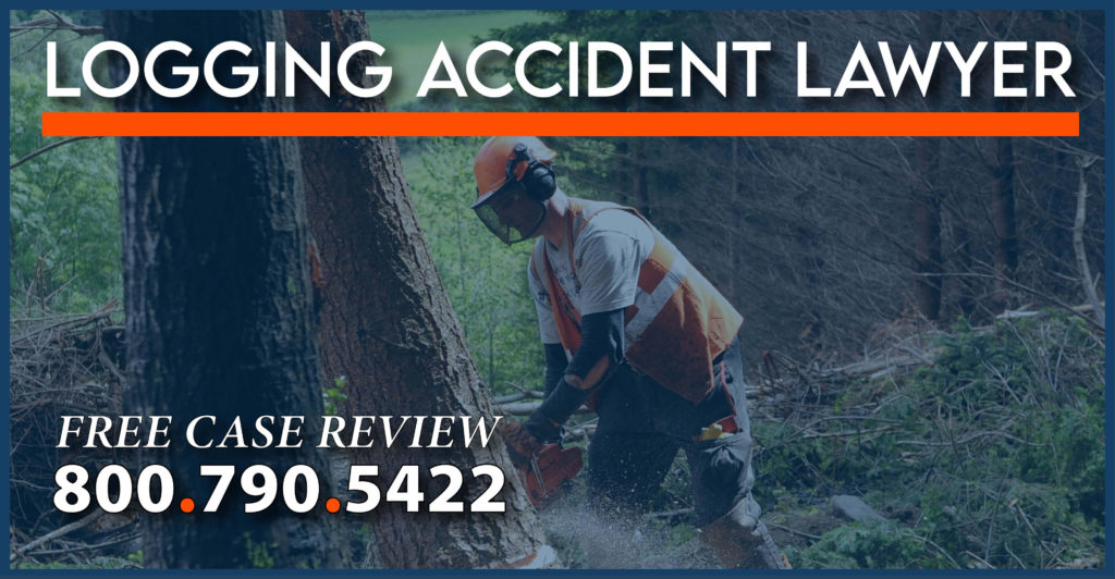 logging accident lawyer workers compensation attorney incident sue