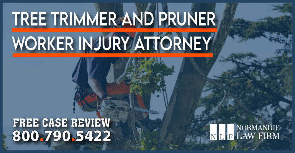 Tree Trimmer and Pruner Worker Injury Attorney lawyer sue compensation lawsuit law firm accident incident benefit insurance company