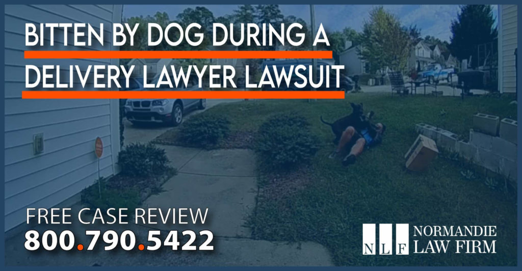 Bitten by Dog During a Delivery Lawyer Lawsuit lawyer attorney sue compensation injury rabies