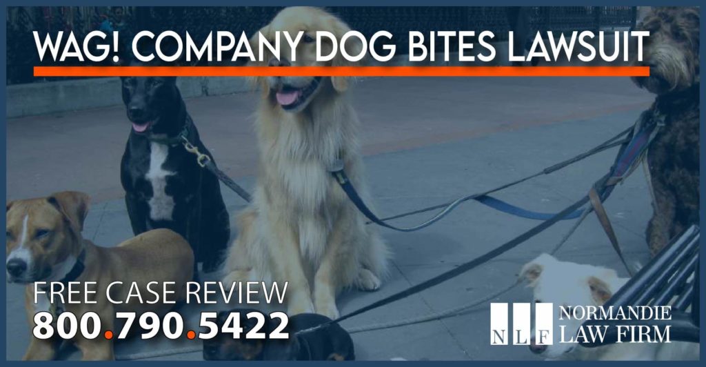 wag company dog bite lawsuit lawyer attorney injury personal incident accident
