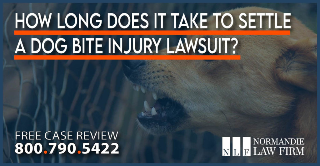 How Long does it take to Settle a Dog Bite Injury Lawsuit personal injury attorney sue incident accident