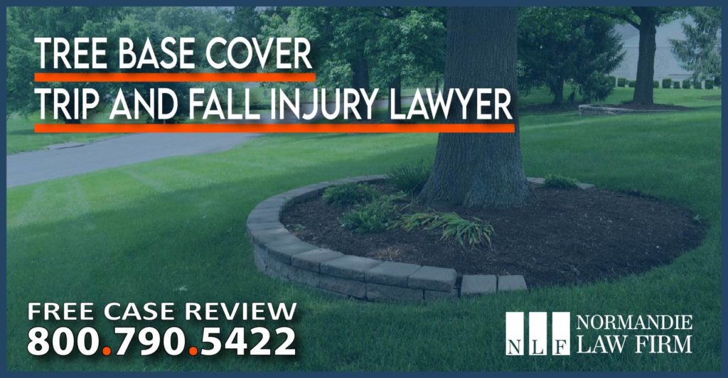 Tree Base Cover Trip and Fall Injury Lawyer liability injury accident incident compensation sue lawsuit