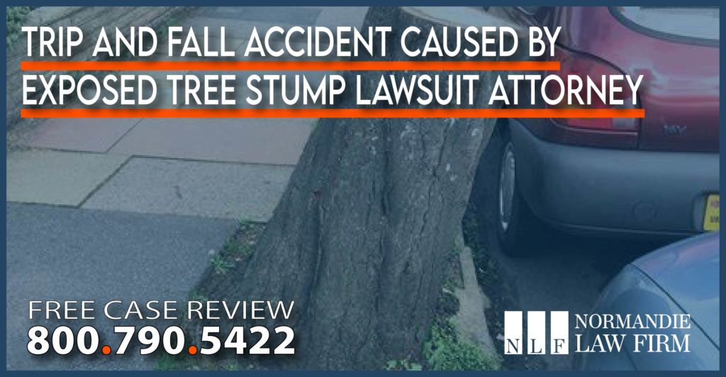 Trip and Fall Accident caused by Exposed Tree Stump Lawsuit Attorney lawyer sue compensation lawsuit