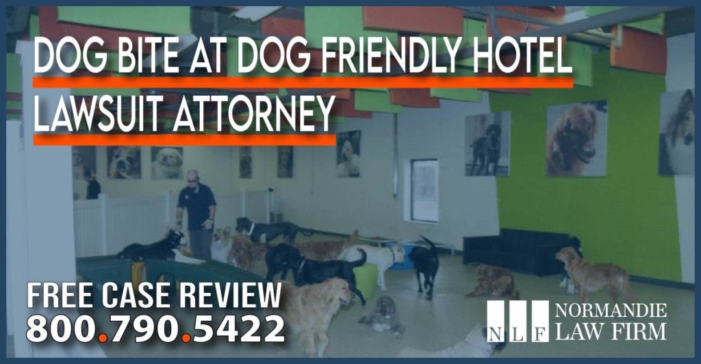 Dog Bite at Dog Friendly Hotel Lawsuit Attorney lawyer sue compensation lawsuit personal injury incident accident liability