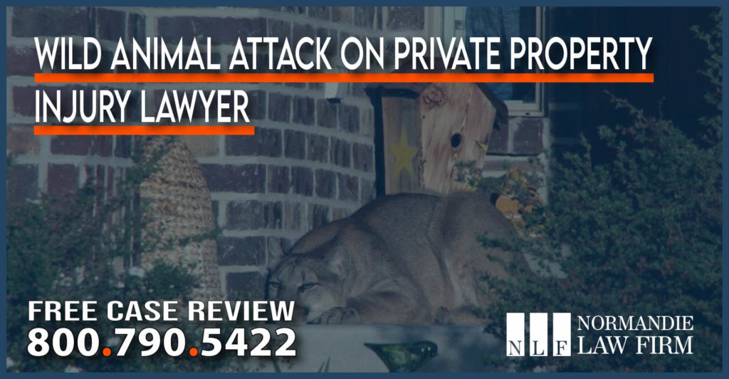 Wild Animal Attack on Private Property Injury Lawyer attorney sue incident personal injury liability