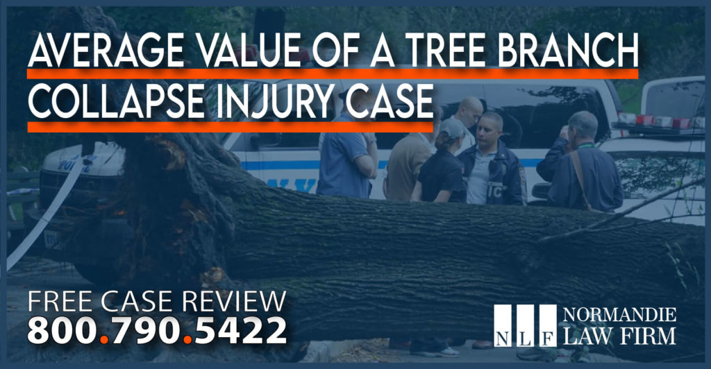 Average Value of a Tree Branch Collapse Injury Case personal injury lawsuit lawyer attorney sue compensation