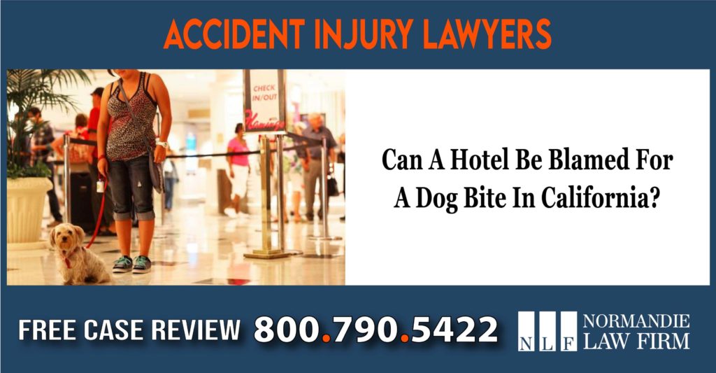 Can A Hotel Be Blamed For A Dog Bite In California lawsuit lawyer attorney compensation sue