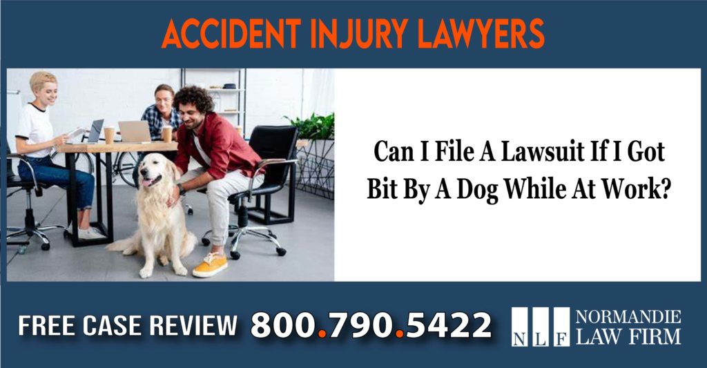 Can I File A Lawsuit If I Got Bit By A Dog While At Work lawsuit lawyer attorney
