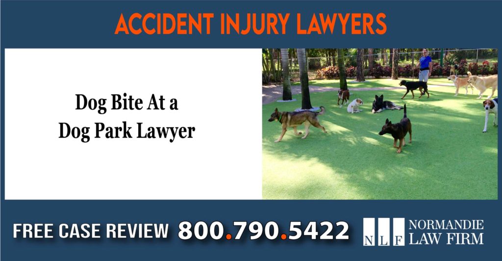 Dog Bite At A Dog Park Lawyer attrorney sue lawsuit compensation incident