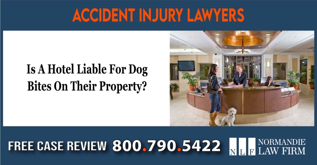 Is A Hotel Liable For Dog property incident sue compensation lawsuit attorney