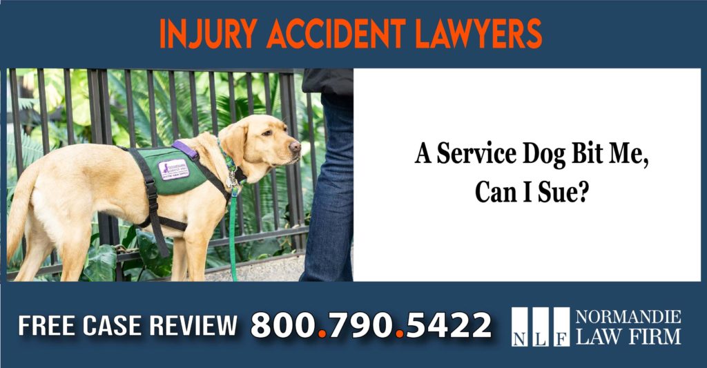 A Service Dog Bit Me, Can I Sue lawsuit lawyer attorney incident liability accident