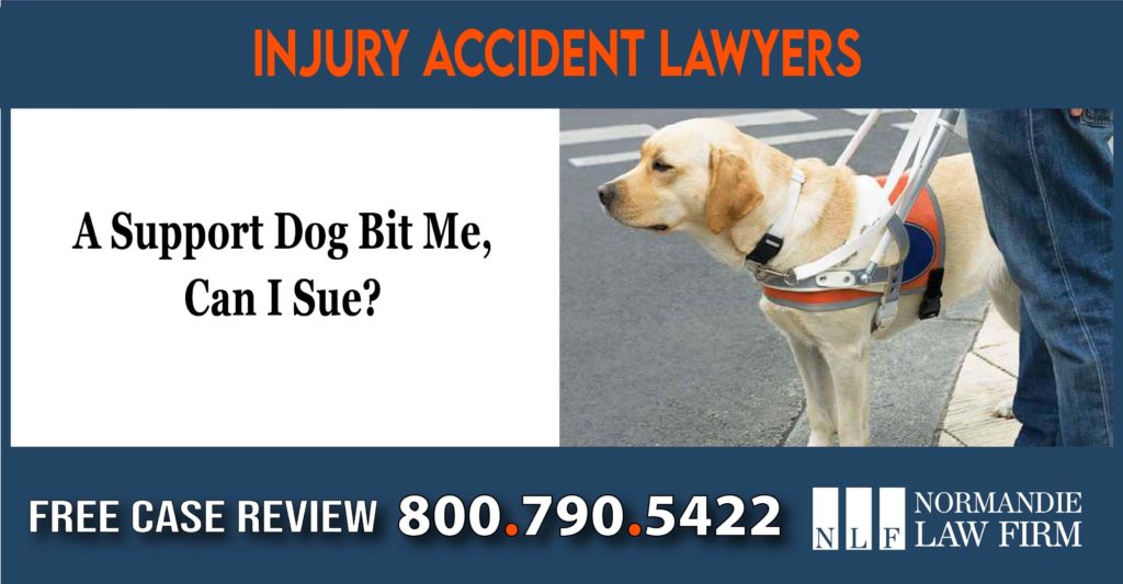 A Support Dog Bit Me, Can I Sue lawyer incident accident attorney compensation-01