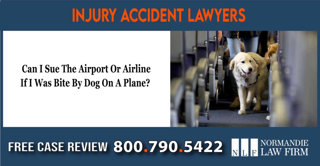 Can I Sue The Airport Or Airline If I Was Bite By Dog On A Plane sue lawsuit lawyer bite scratch incident liability