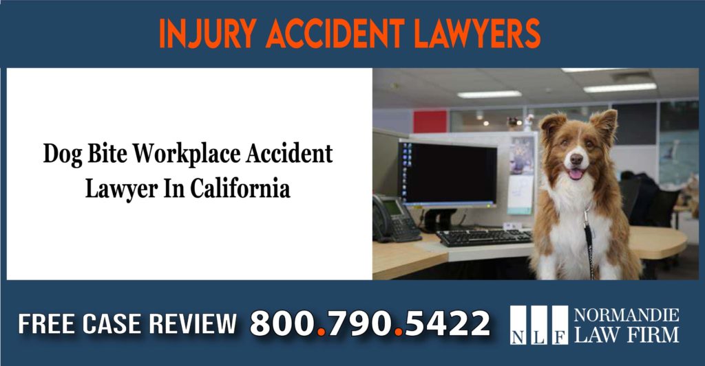 Dog Bite Workplace Accident Lawyer In California lawsuit attorney incident sue bite scratch