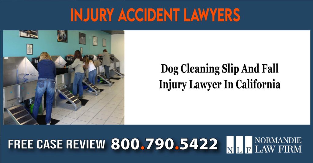 Dog Cleaning Slip And Fall Injury Lawyer In California incident liability sue lawsuit compensation
