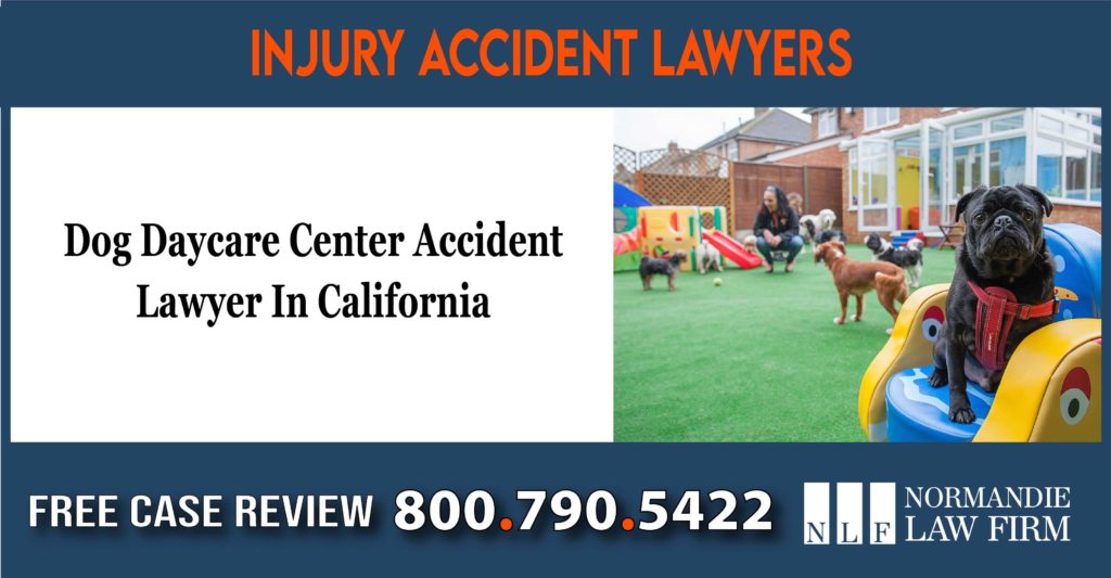 Dog Daycare Center Accident Lawyer In California lawsuit liability incident sue attorney