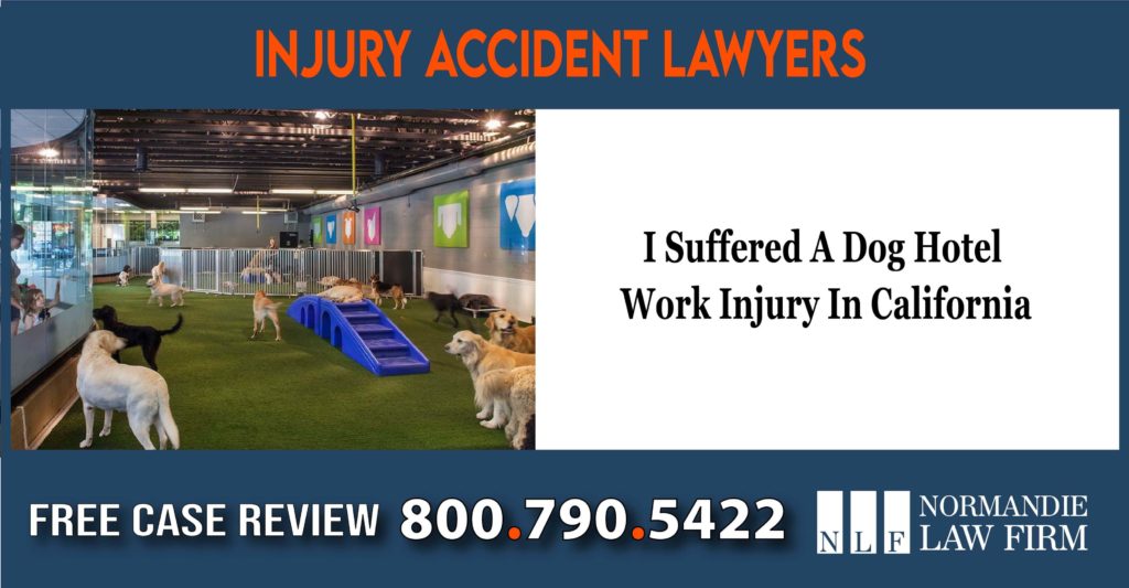 I Suffered A Dog Hotel Work Injury In California lawyer attorney liability sue bite incident accident