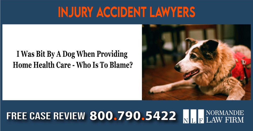 I Was Bit By A Dog When Providing Home Health Care – Who Is To Blame incident lawyer attorney accident sue liable