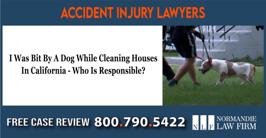 I Was Bit By A Dog While Cleaning Houses In California - Who Is Responsible alwyer attorney sue lawsuit compensation