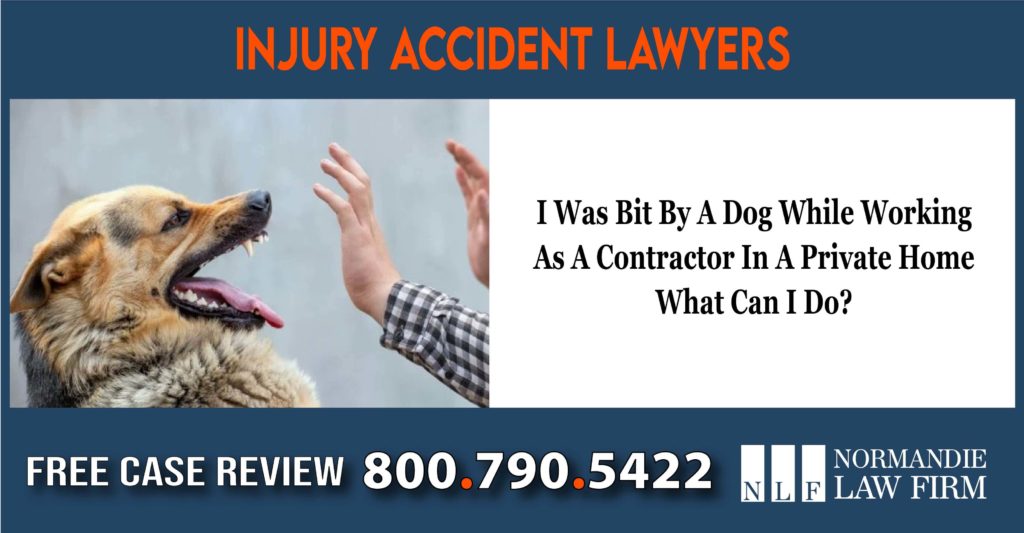 I Was Bit By A Dog While Working As A Contractor In A Private Home – What Can I Do lawyer attorney lawsuit liability