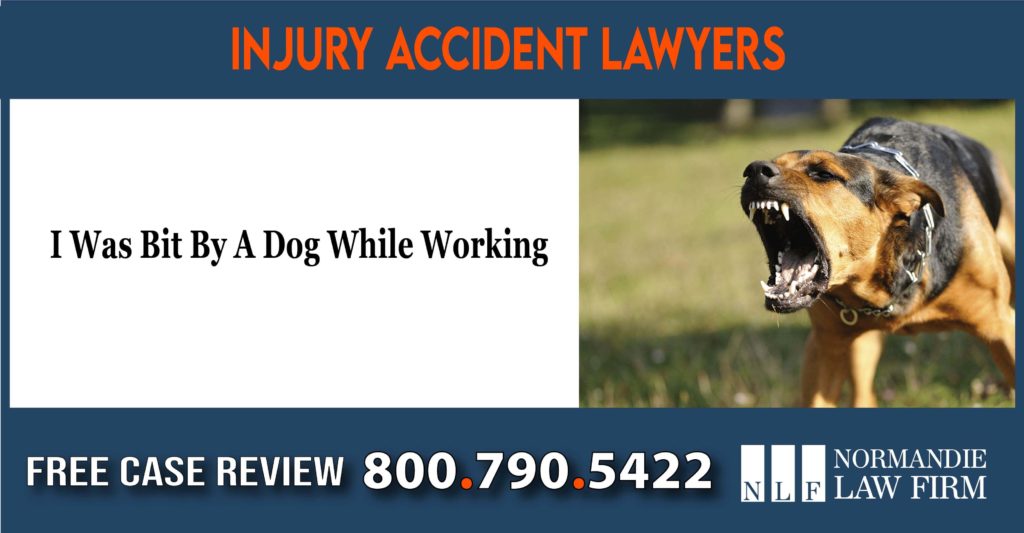 I Was Bit By A Dog While Working lawyer attorney liability owner sue lawsuit