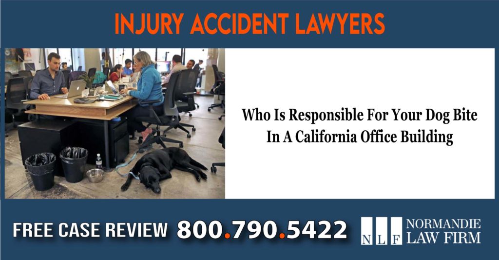 Who Is Responsible For Your Dog Bite In A California Office Building lawyer attorney sue lawsuit compensation incident accident