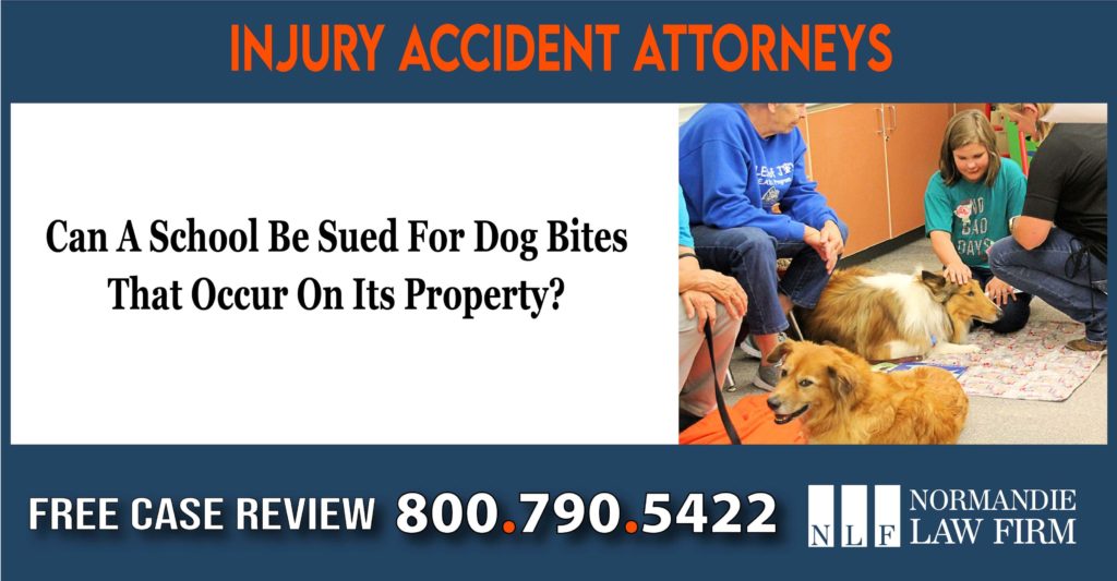 Can A School Be Sued For Dog Bites That Occur On Its Property incident liability liable sue compensation
