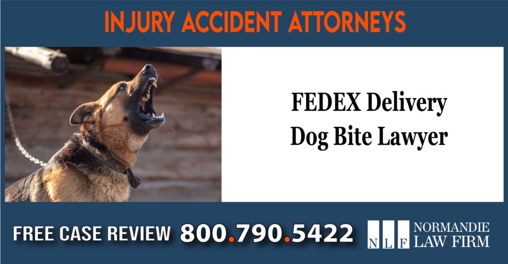 FEDEX Delivery Dog Bite Lawyer attorney sue lawsuit liability