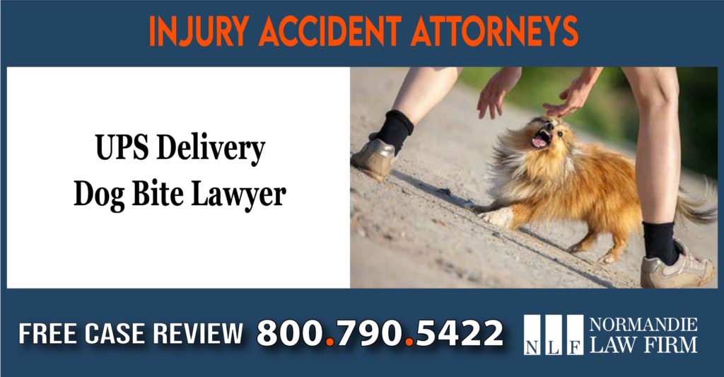 UPS Delivery Dog Bite Lawyer incident liability liable sue accident