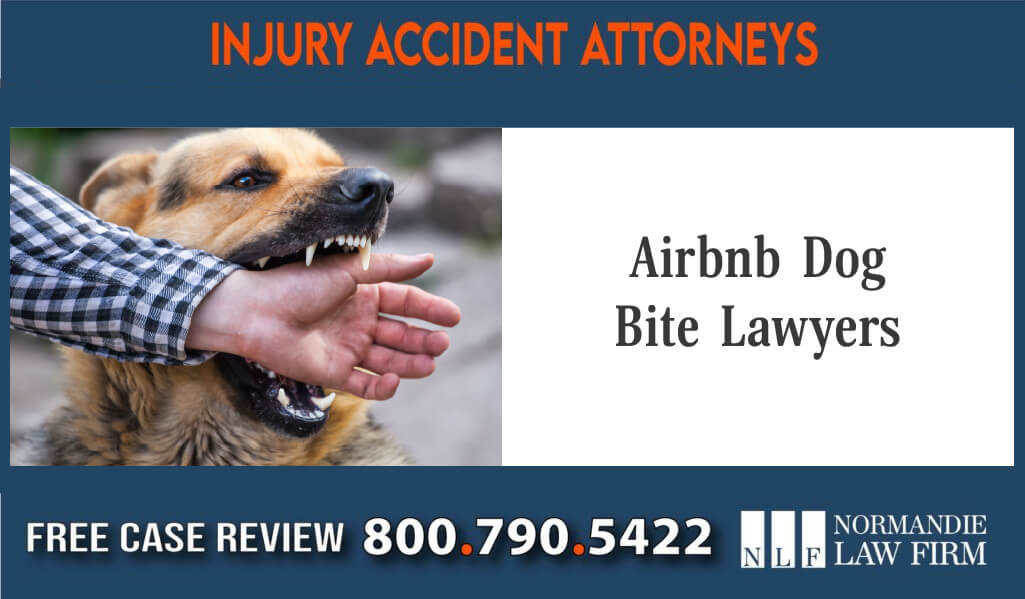 airbnb guest dog bite lawsuit attorneys