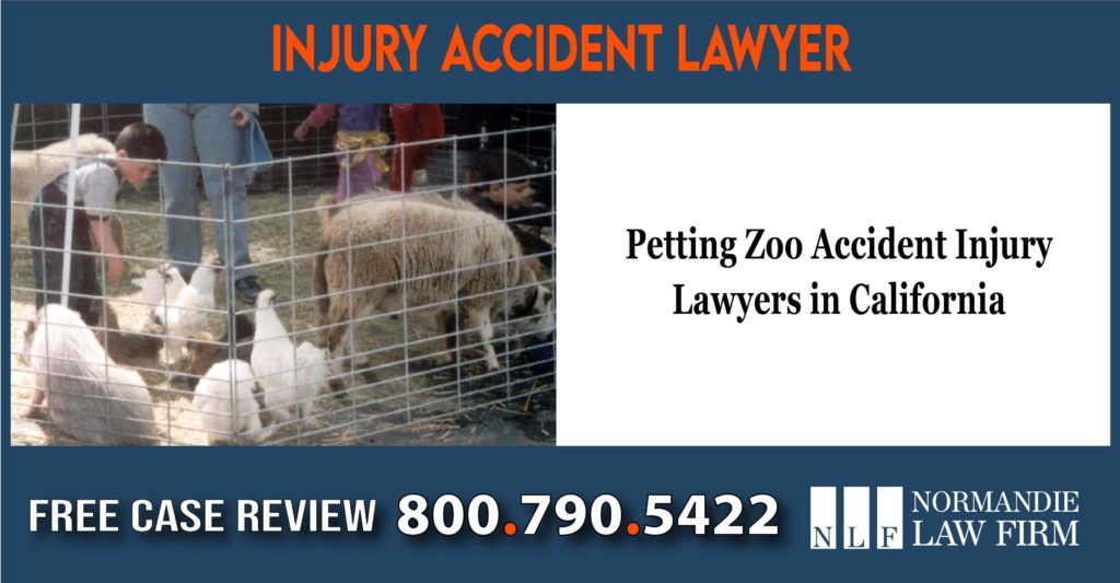 Petting Zoo Accident Injury Lawyers in California Lawyer Attorney lawsuit lawyer attorney sue