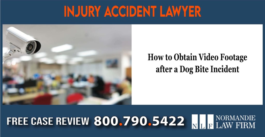 How to Obtain Video Footage after a Dog Bite Incident lawyer attorney sue lawsuit compensation liability