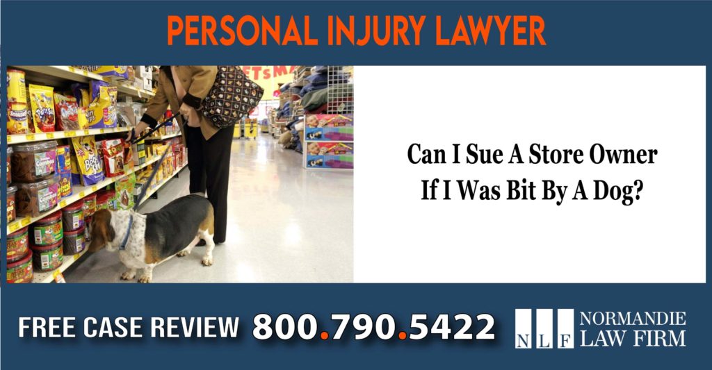 Can I Sue A Store Owner If I Was Bit By A Dog lawsuit lawyer attorney compensation incident