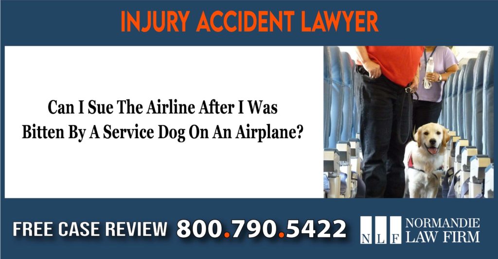 Can I Sue The Airline After I Was Bite By A Service Dog On An Airplane lawyer sue lawsuit attorney