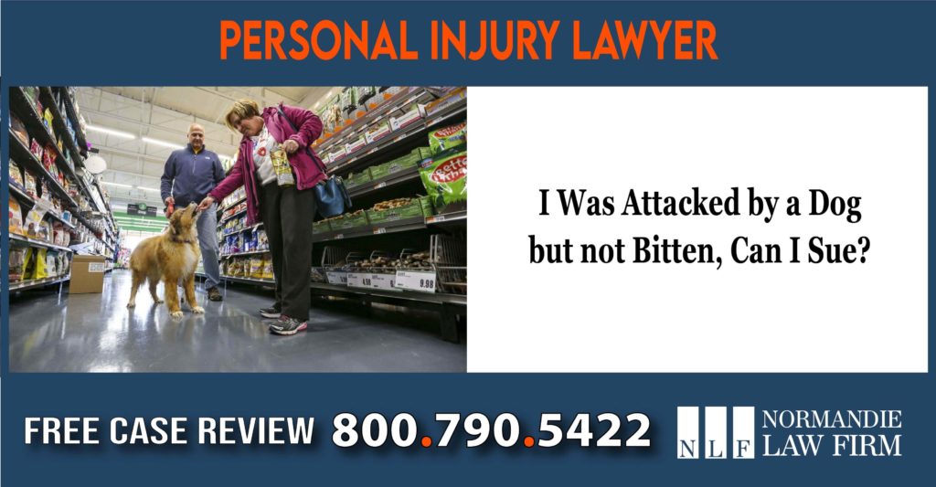 I was attacked by a dog but not bitten can i suecompensation lawsuit lawyer attorney sue