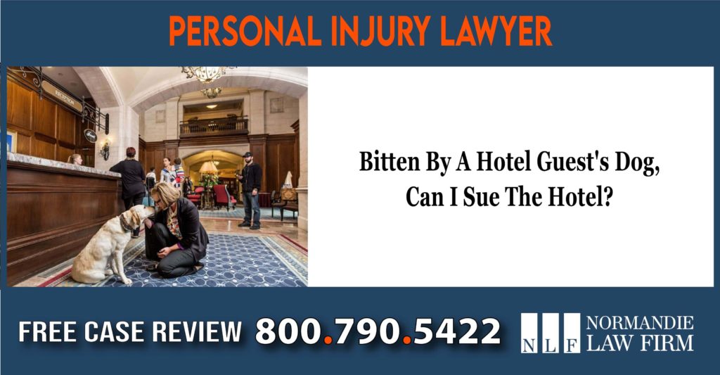 Bitten By A Hotel Guest's Dog – Can I Sue The Hotel lawsuit liability incident injured injury