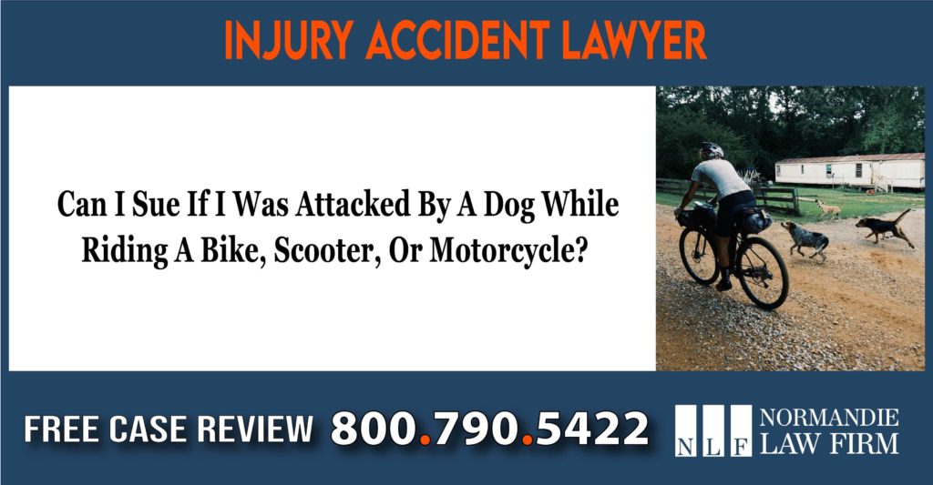 Can I Sue If I Was Attacked By A Dog While Riding A Bike, Scooter, Or Motorcycle lawyer attorney sue lawsuit