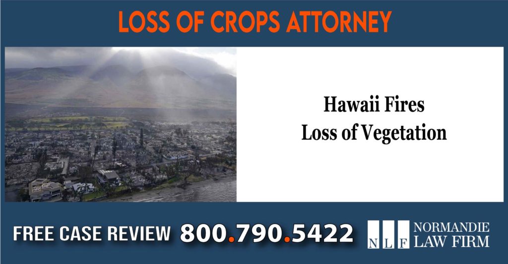 Hawaii Fires Loss of Vegetation – Loss of Crops Attorney lawsuit sue