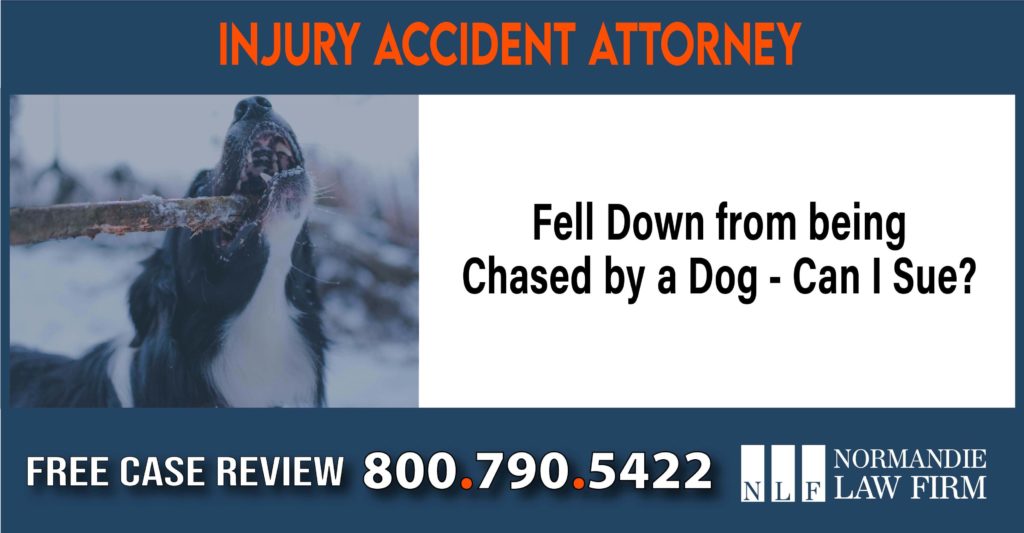 Fell Down from being Chased by a Dog - Can I Sue lawyer attorney compensation incident liable