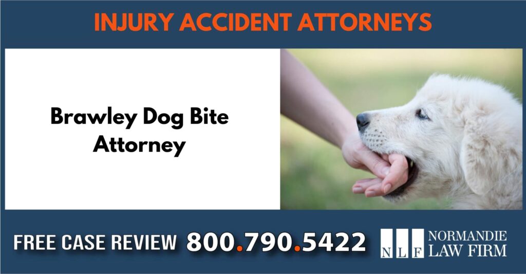 Brawley Dog Bite Attorney sue liability lawyer compensation incident