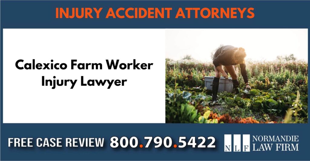 Calexico Farm Worker Injury Lawyer sue employee attorney incident