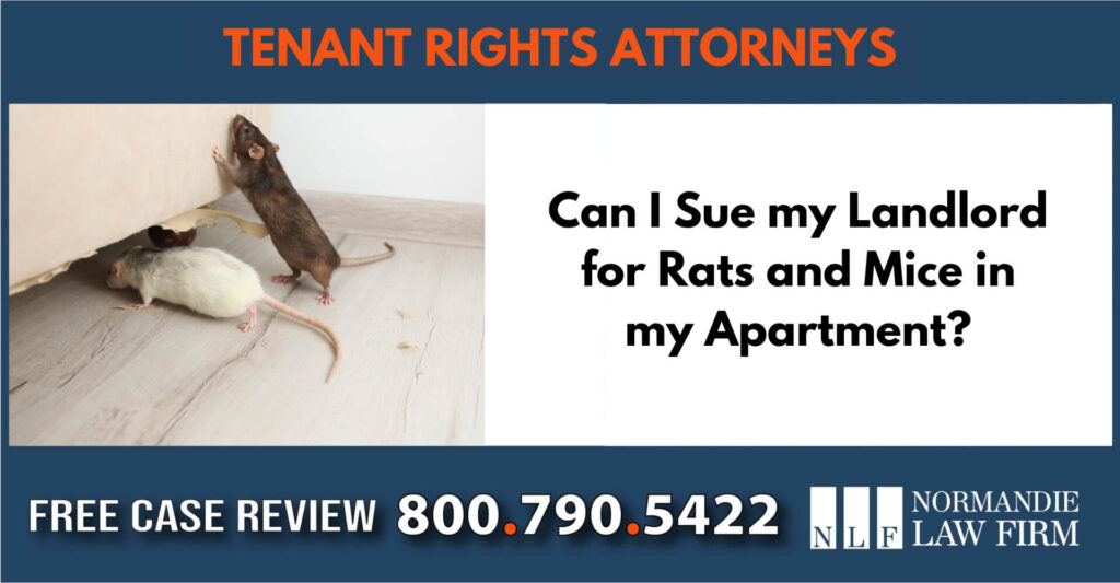 Can I Sue my Landlord for Rats and Mice in my Apartment sue liable incident compensation lawyer attorney